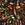Hunter